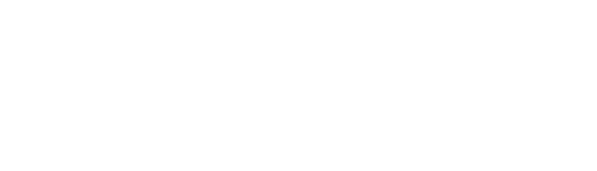 Soneform, gjennomtenkt helhet